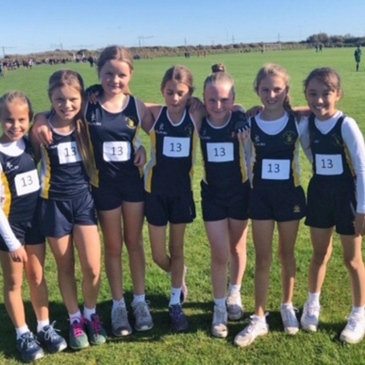 Image of Fantastic results at AJIS Cross Country Championships