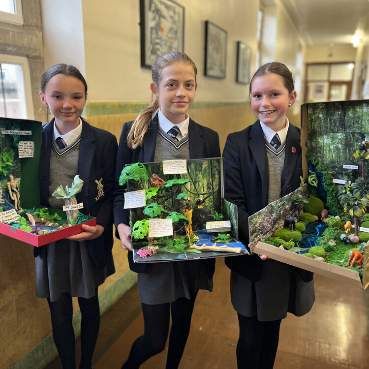 Image of KGS Geographers complete outstanding 'Biome in a Box' projects