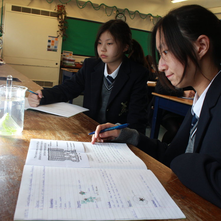 Image of Second Year investigate the rate of photosynthesis
