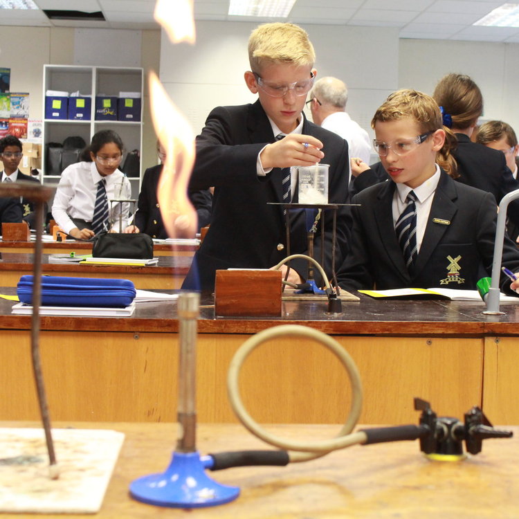 Image of First Year Chemistry Salt Investigation