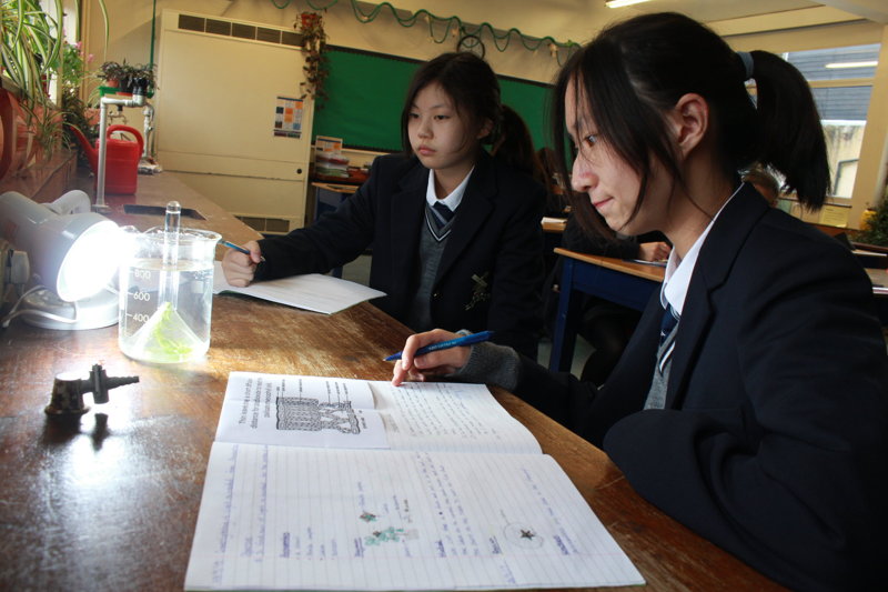 Image of Second Year investigate the rate of photosynthesis